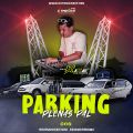 Cover de Plenas Pal Parking 20k4 - @djkikepanama